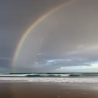 rainbow pictures