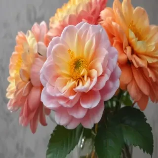 flowers to draw in color