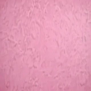 pink plain bg
