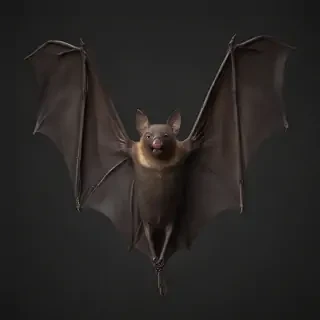 bat png