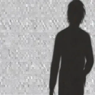 shadow transparent