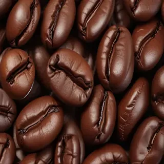 coffee bean png