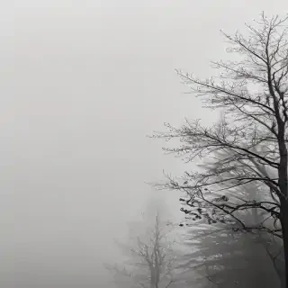 fog transparent background