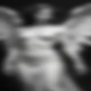 black and white angel drawings