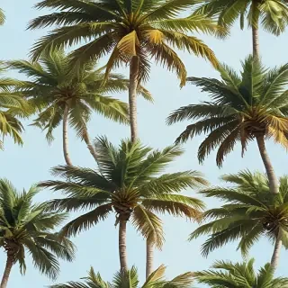 palm trees png