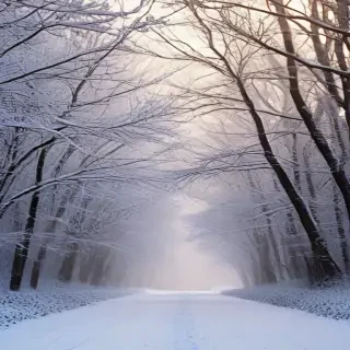 snow iphone background