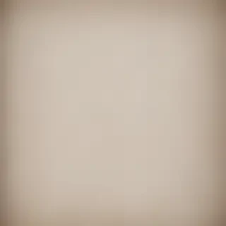 canvas texture overlay