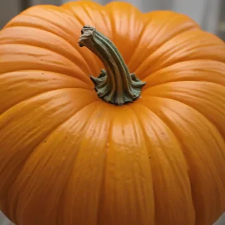 pumpkin png