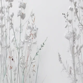 white background wallpaper