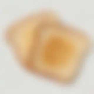 toast png
