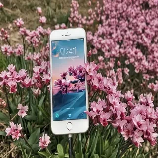 spring iphone
