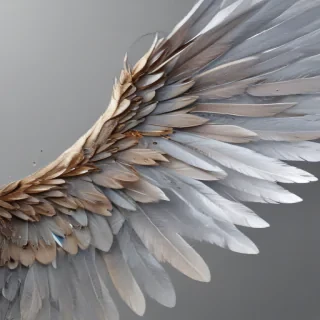 angel wings transparent background