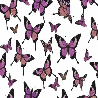 butterfly back ground