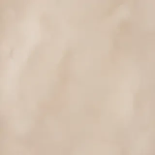 neutral background