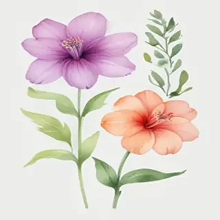 watercolor flower png