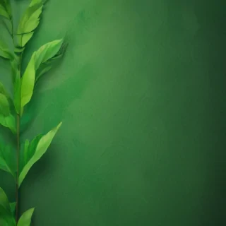 green background for iphone