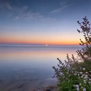 peaceful background images