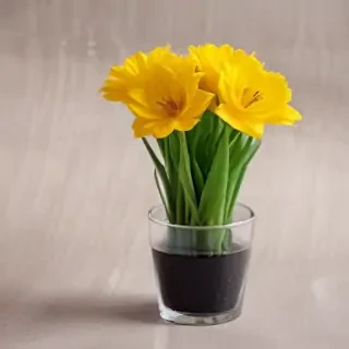 thank you image
