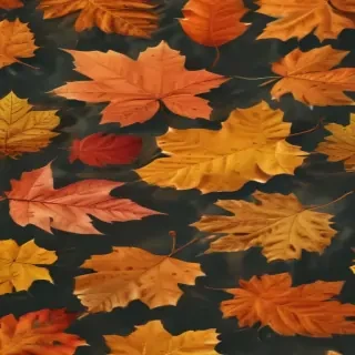 fall leaf png