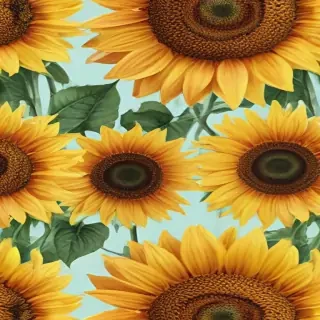 sunflower wallpapers