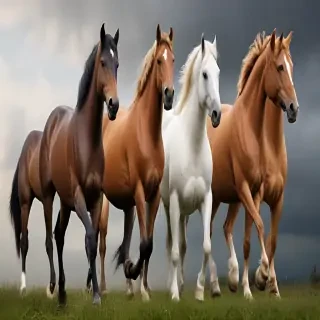horses png
