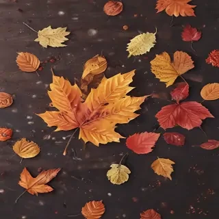 fall wallpaper for iphone