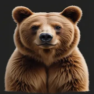 png bear