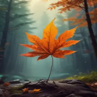 iphone fall wallpaper