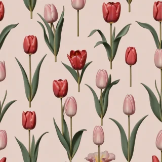tulips wallpaper aesthetic