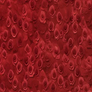rose backgrounds