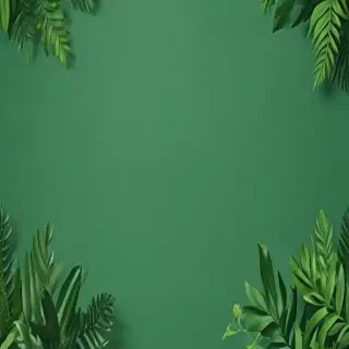 green background aesthetic