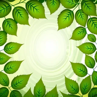 background with green leaves
