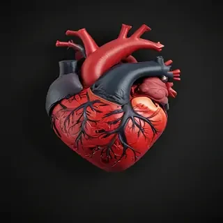 heart with black background