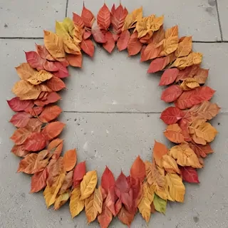 leaf circle