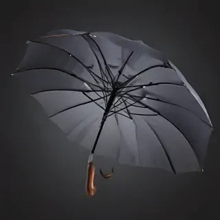 png umbrella