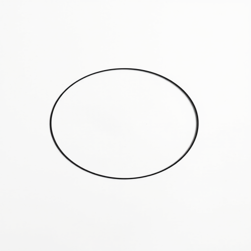 Create a minimalist black circle on a white background, using a Canon EOS R5 camera, with aperture set to f/2.8, ISO 100, shutter speed 1/125s, top-down view, with a crisp and sharp focus on the circle to enhance image quality.