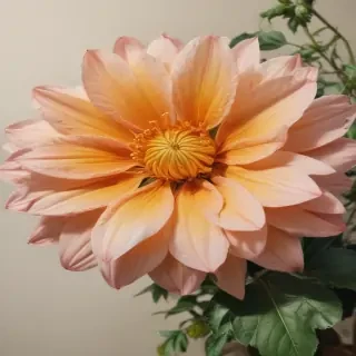 flower drawing aesthetic