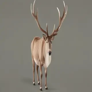 reindeer png