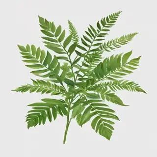 greenery png