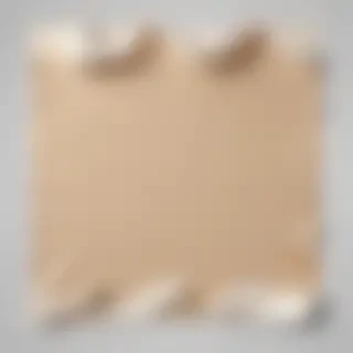 torn paper png