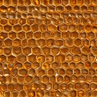 honeycomb png