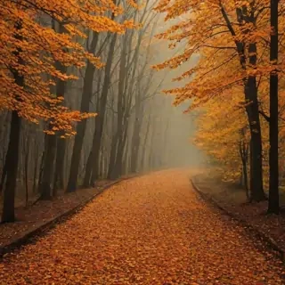 fall background wallpaper iphone