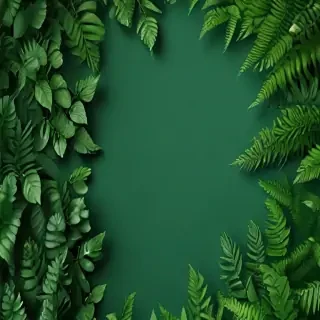 green background wallpaper aesthetic