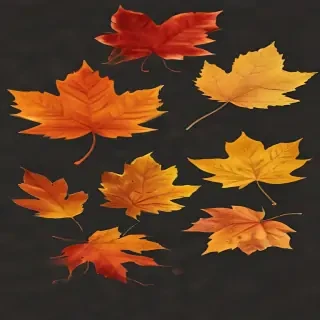 fall leaves png