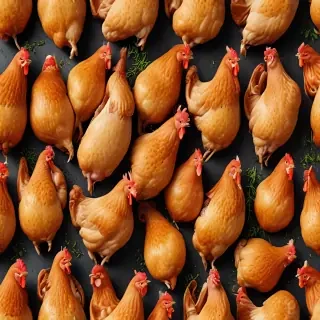 chicken background