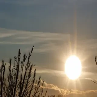 transparent sun