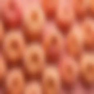 peach background wallpaper