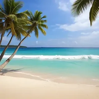 summer beach background