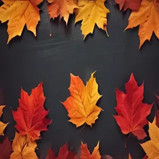 iphone fall wallpaper