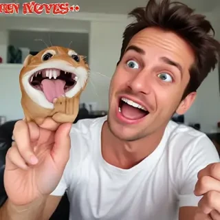 funny videos